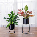 Metal flowerpot stand Office Plant Pot